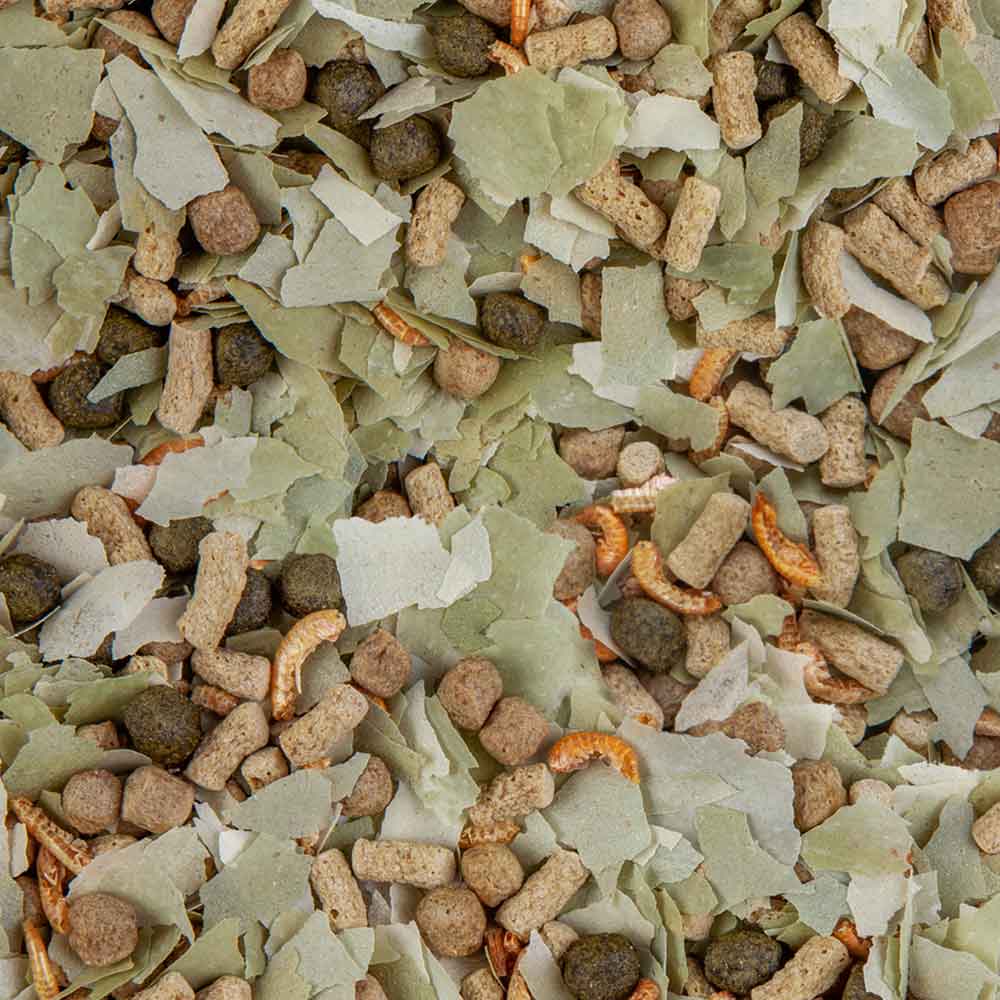 Sera Pond Mix Royal Scaglie e Sticks 10l 2Kg