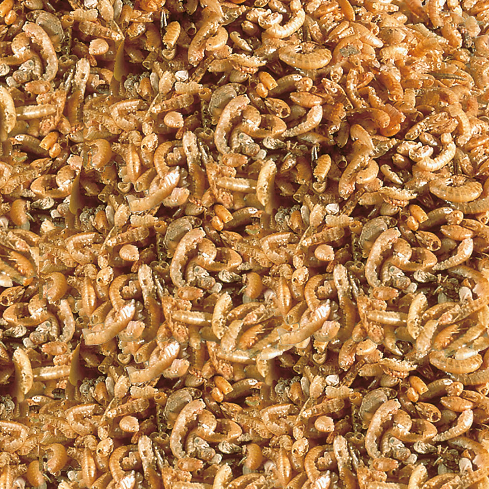 Sera Raffy I Leccornie con Gammarus per Tartarughe e Sauri 3800 ml 370 g