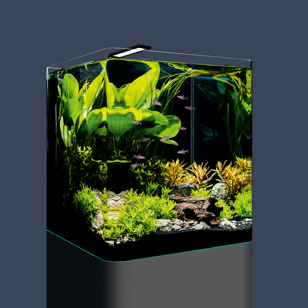 Dennerle Nano Cube Basic 60 Acquario 60Lt 38x38x43h cm