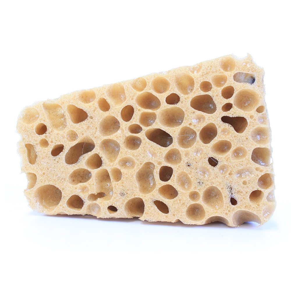 Dennerle Cleanator Spugna pulivetri contro alghe e calcare