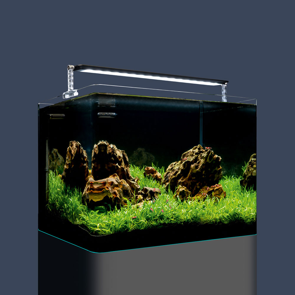 Dennerle Nano Tank Plant Pro Acquario completo 55 L