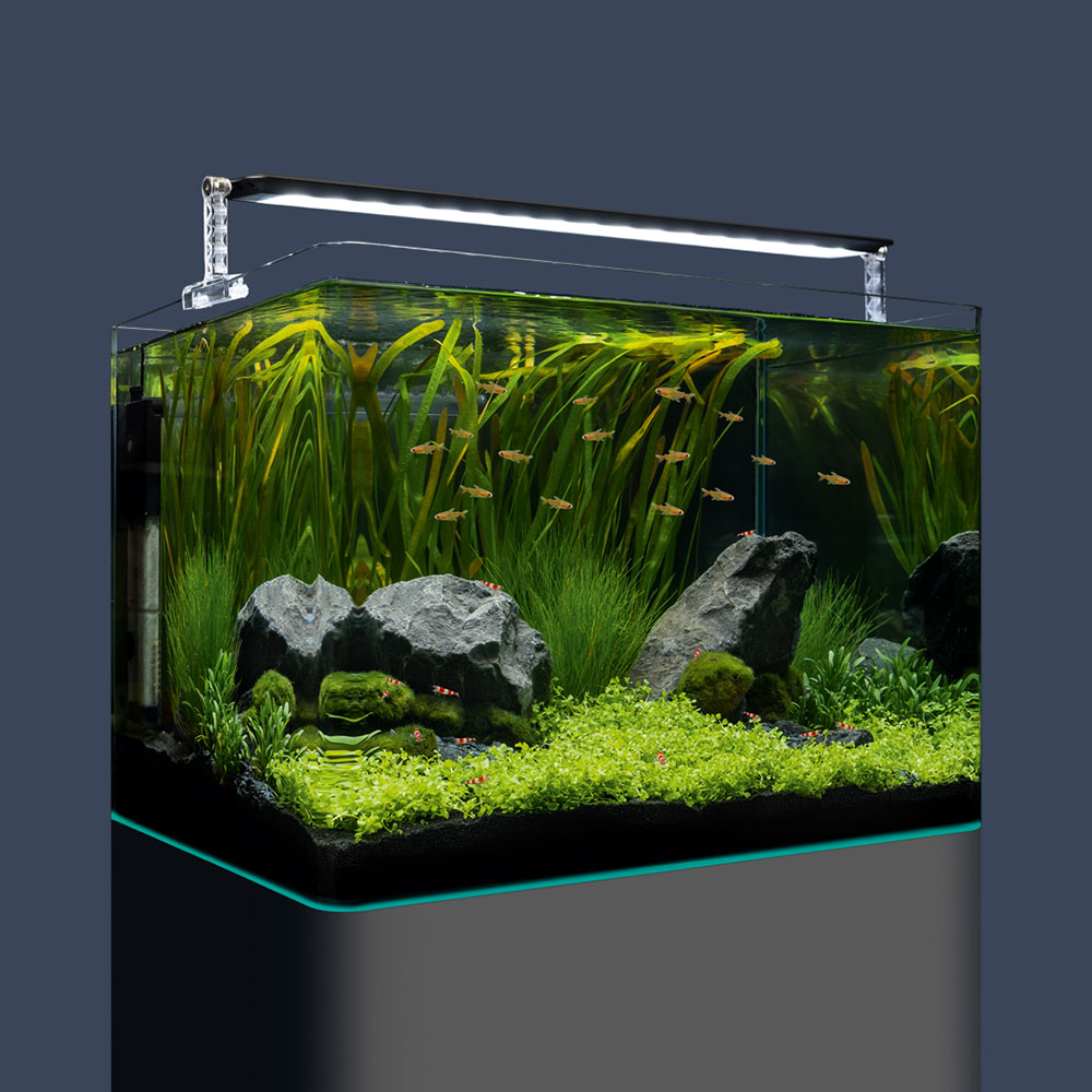 Dennerle Nano Tank Plant Pro 70 Acquario completo 70 litri