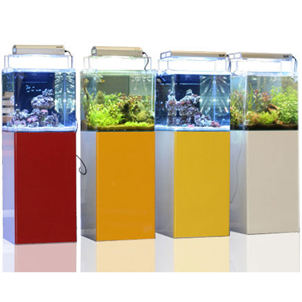 Blau Acquario Open Reef Experience in Extrachiaro 91Lt 45x45x45cm