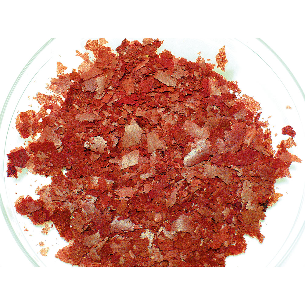 Dennerle Complete Flakes Probiotic e Prebiotic 100ml