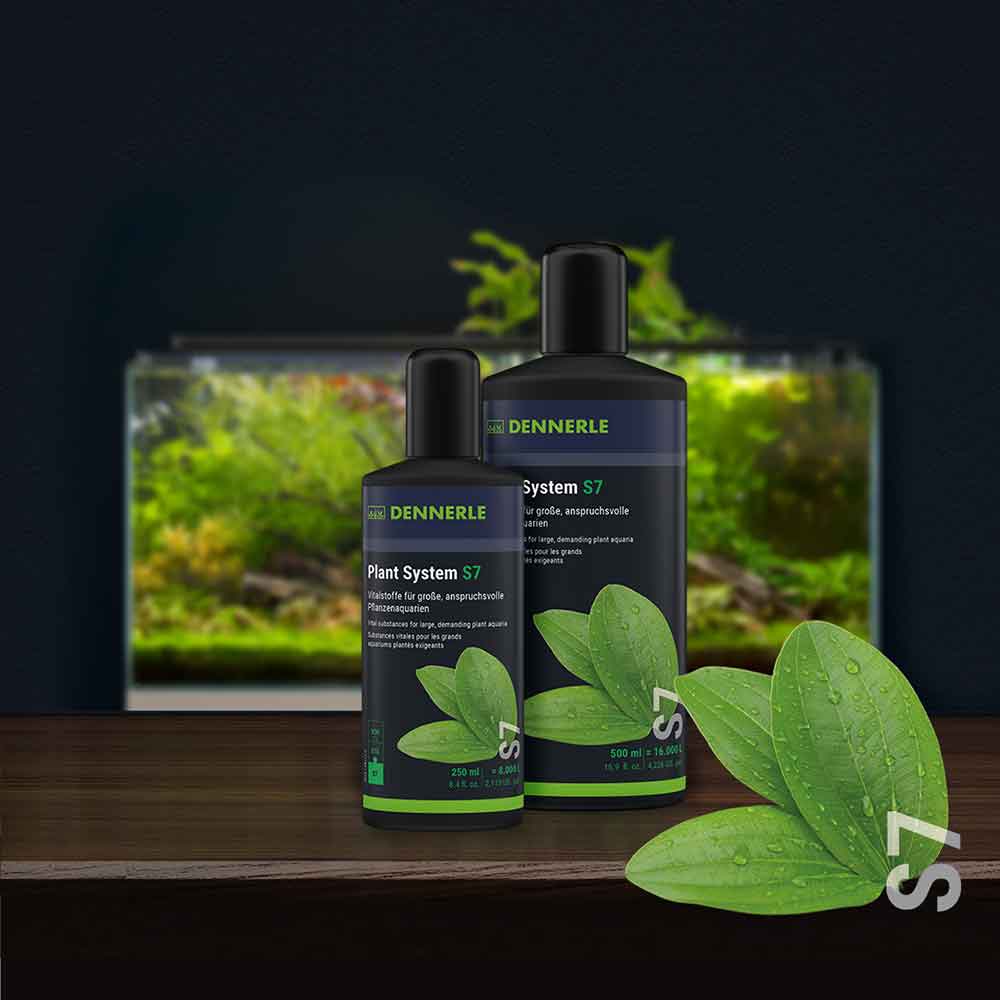 Dennerle Plant Sytem S7 Vitamine per Piante e Pesci 250ml
