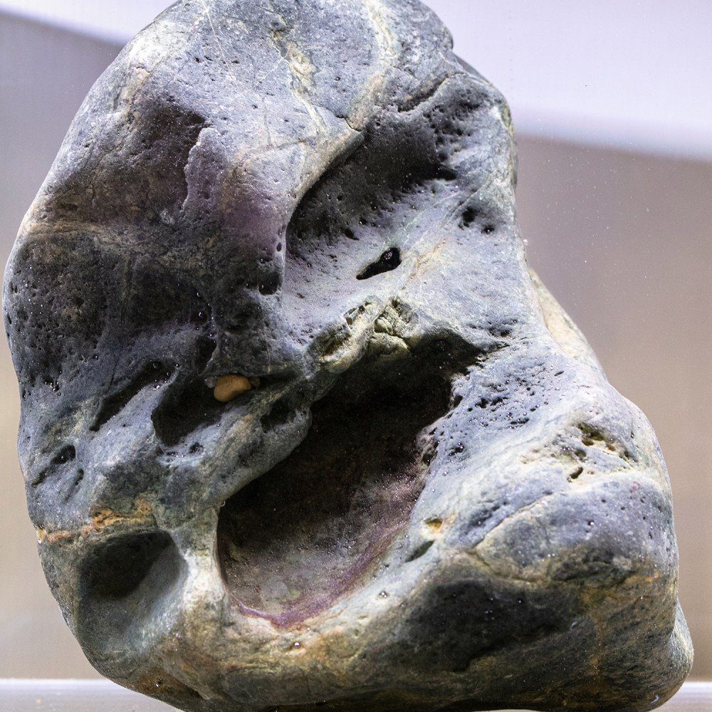 Aqpet Roccia Hakkai al Kg