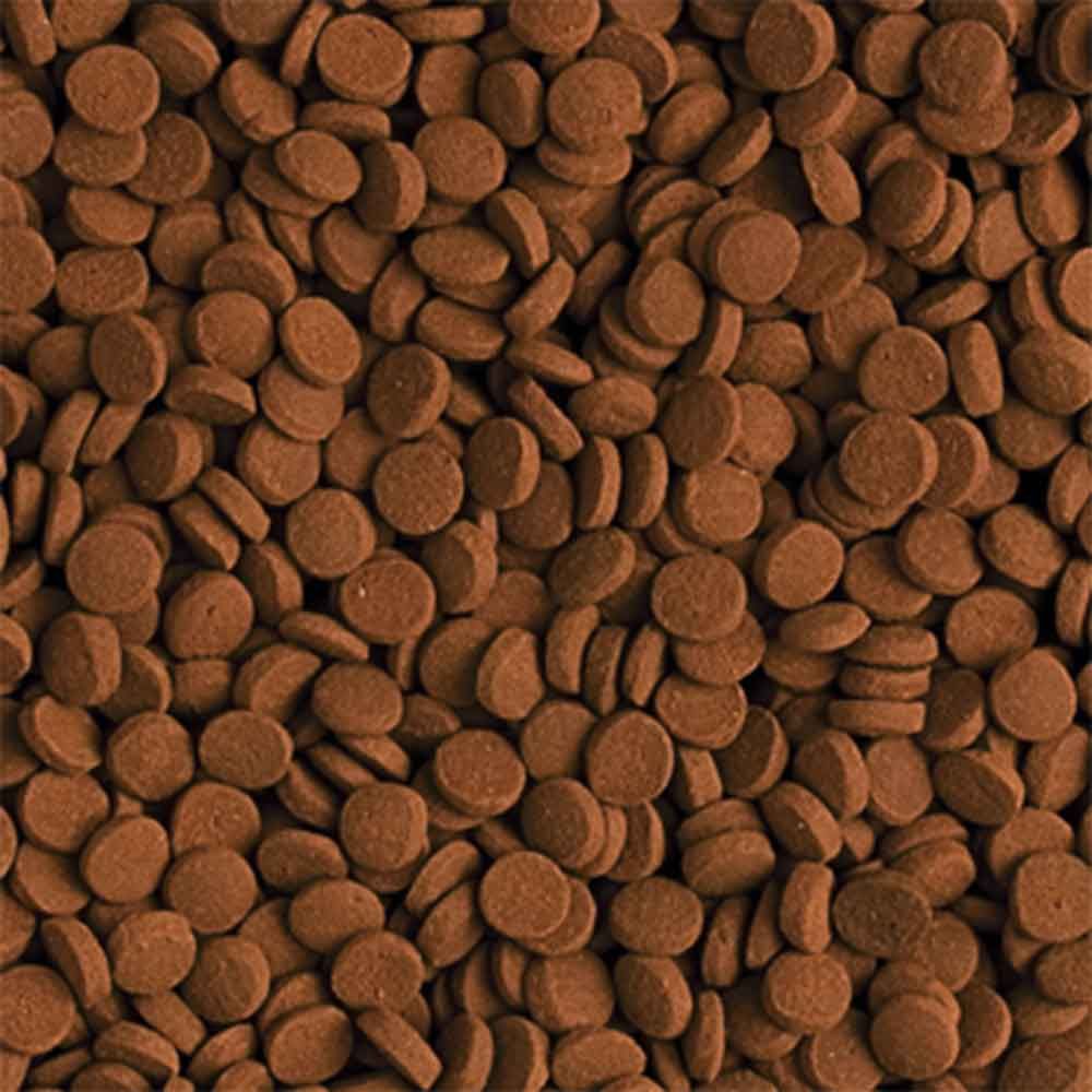 Tropical Carnivore pastiglie affondanti 1000ml 600gr