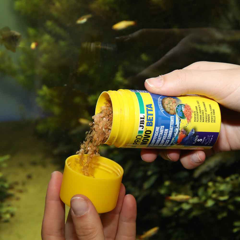 Jbl ProNovo Betta Flakes S Scaglie con Krill e Prebiotici 20ml 16gr