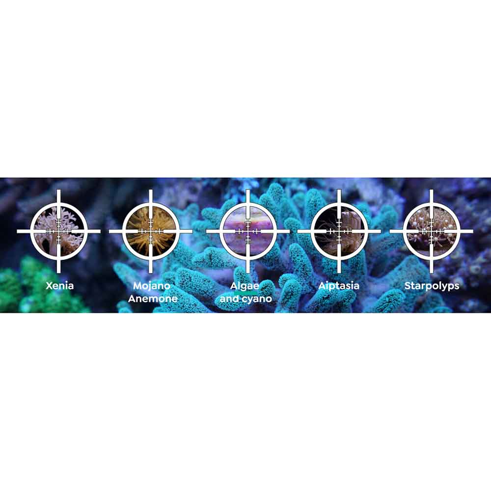 Itc Reef Delete UV Pest Elimina Aiptasie e Parassiti