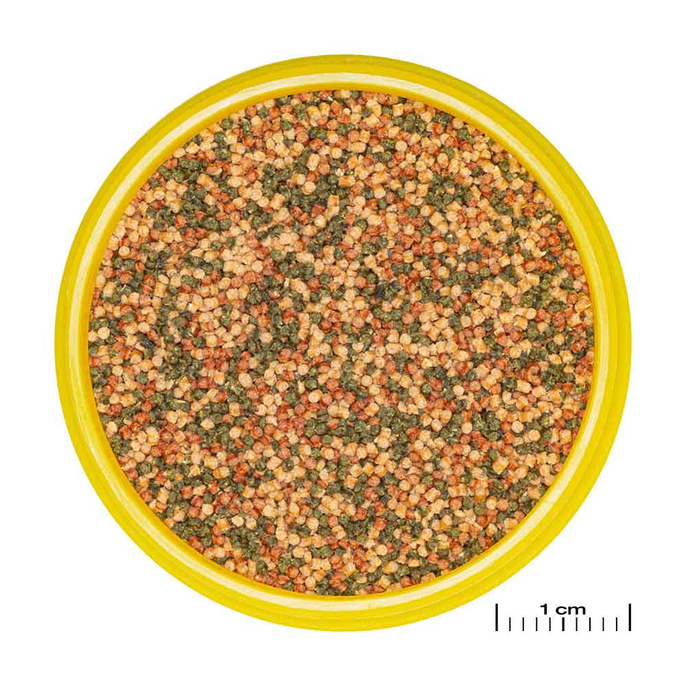 Jbl ProNovo Bel Grano S Granulare con Aglio e Prebiotici 250ml 140gr