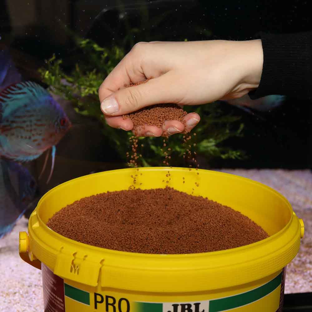 Jbl ProNovo Bits Diskus Grano M Granulare con Shrimps e Prebiotici 5000ml 2640gr