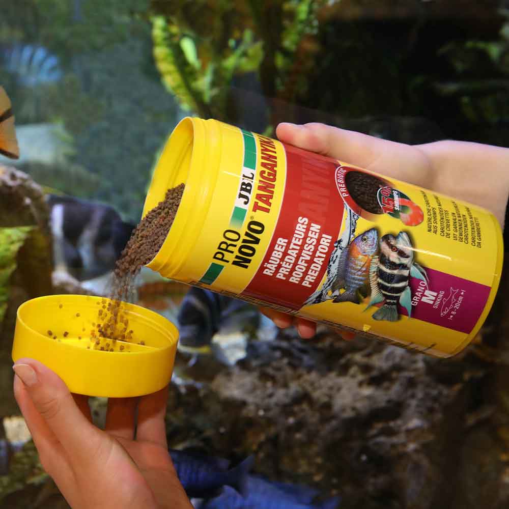 Jbl ProNovo Tanganyka Grano M Granulare con Shrimps e Prebiotici 1000ml 570gr