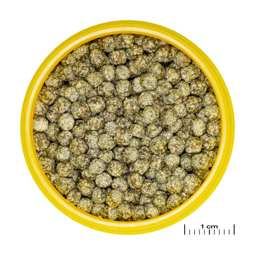 Jbl ProNovo Red Grano M Granulare con Spirulina e Prebiotici 100ml 37gr