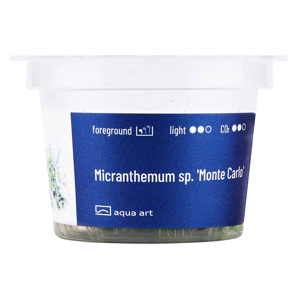 Aqua Art Micranthemum &quot;Monte Carlo&quot; in Vitro Cup