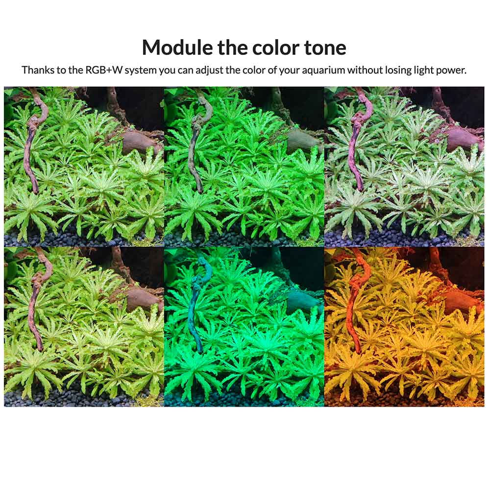 Blau Aquaristic Mini Lumina RGB+ 30cm Acqua dolce 24w