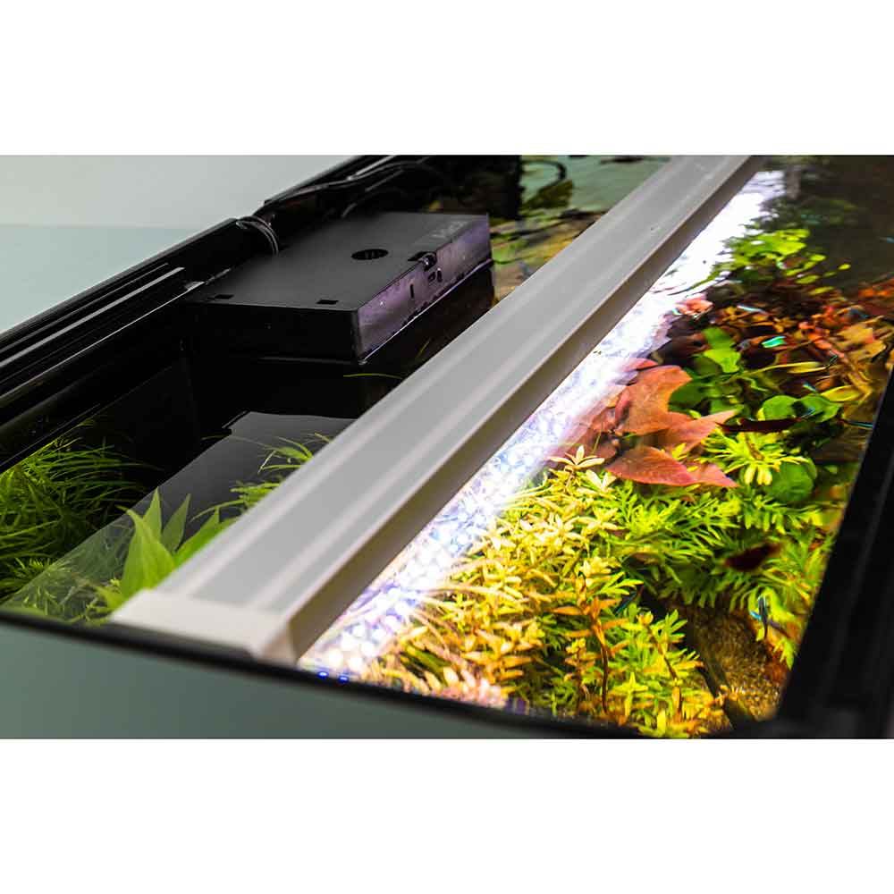Askoll Opera 150 Acquario completo 150 litri Bianco 80x40x50h cm