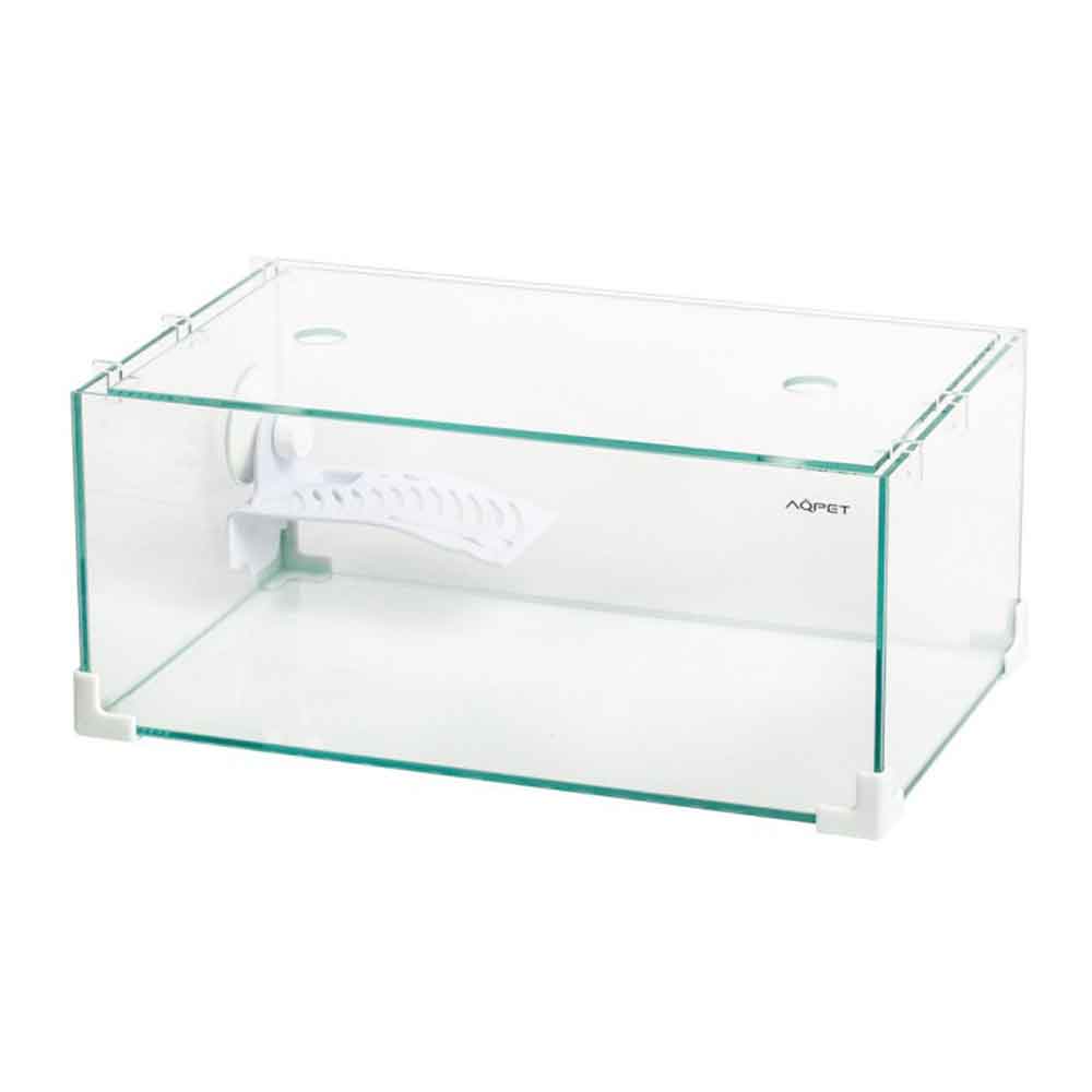Aqpet Tortuga 40 Tartarughiera in vetro con isolotto 40X24X17h cm