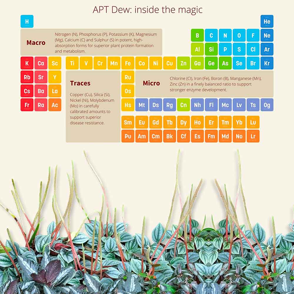 The 2Hr Aquarist APT Dew Fertilizzante Spray fogliame per Terrari e Paludari 100ml