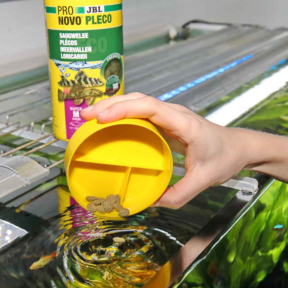 Jbl Novo Pleco per pesci a ventosa 250ml 53g