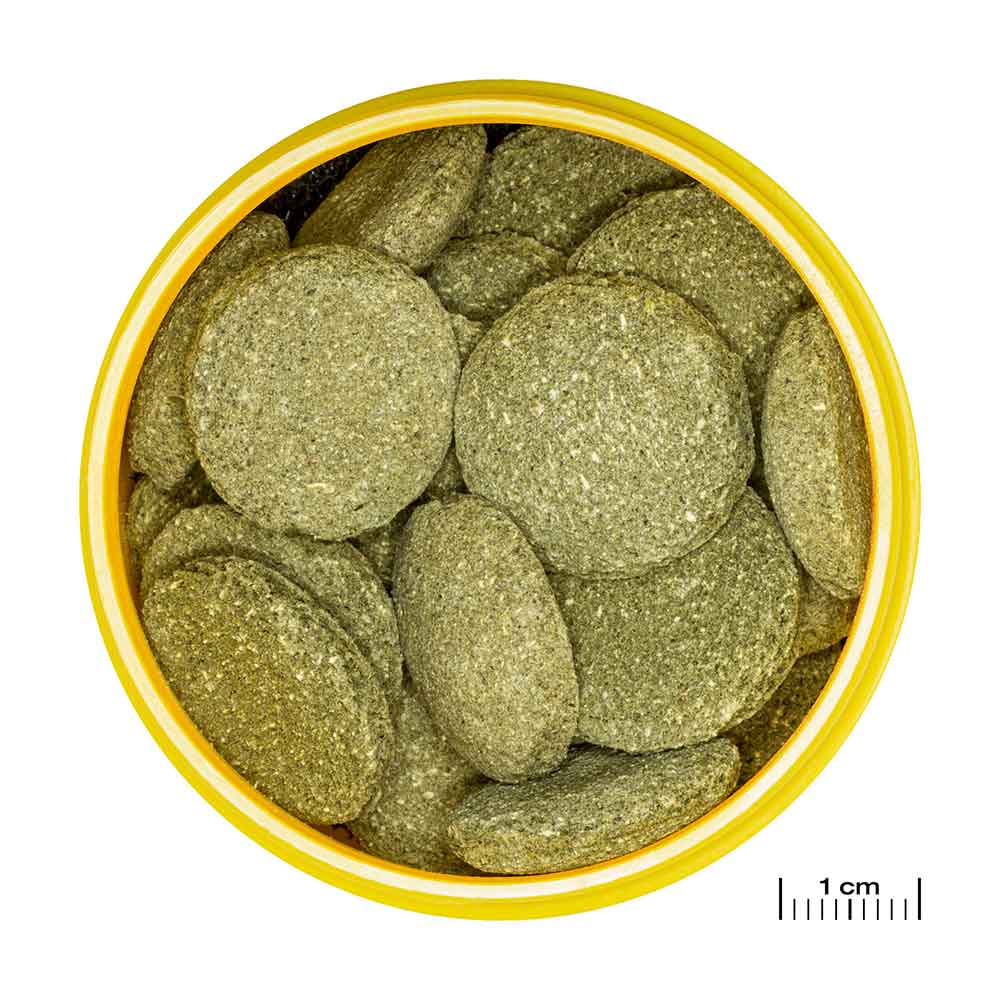 Jbl ProNovo Pleco Wafer XL con Fibre di legno e Prebiotici 250ml 125g