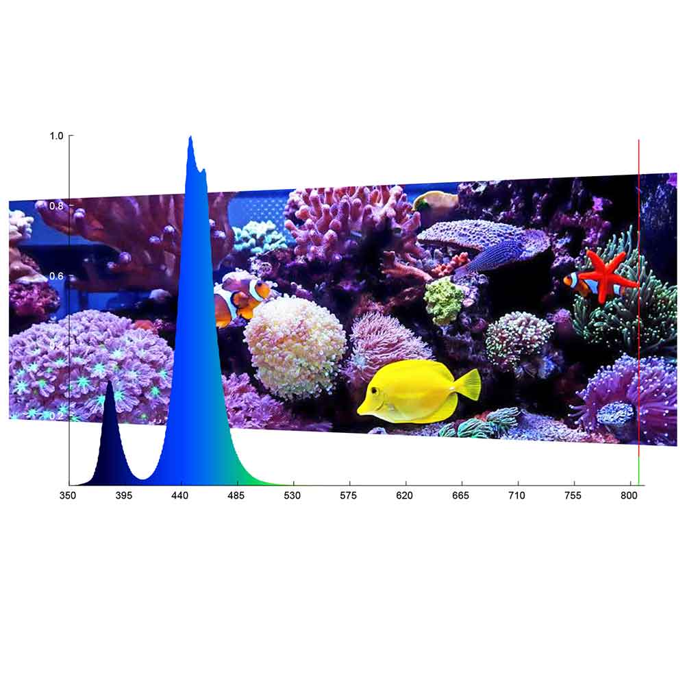 Micmol Felix 60 Marine Lampada Led Cree 30W da 60 a 80cm