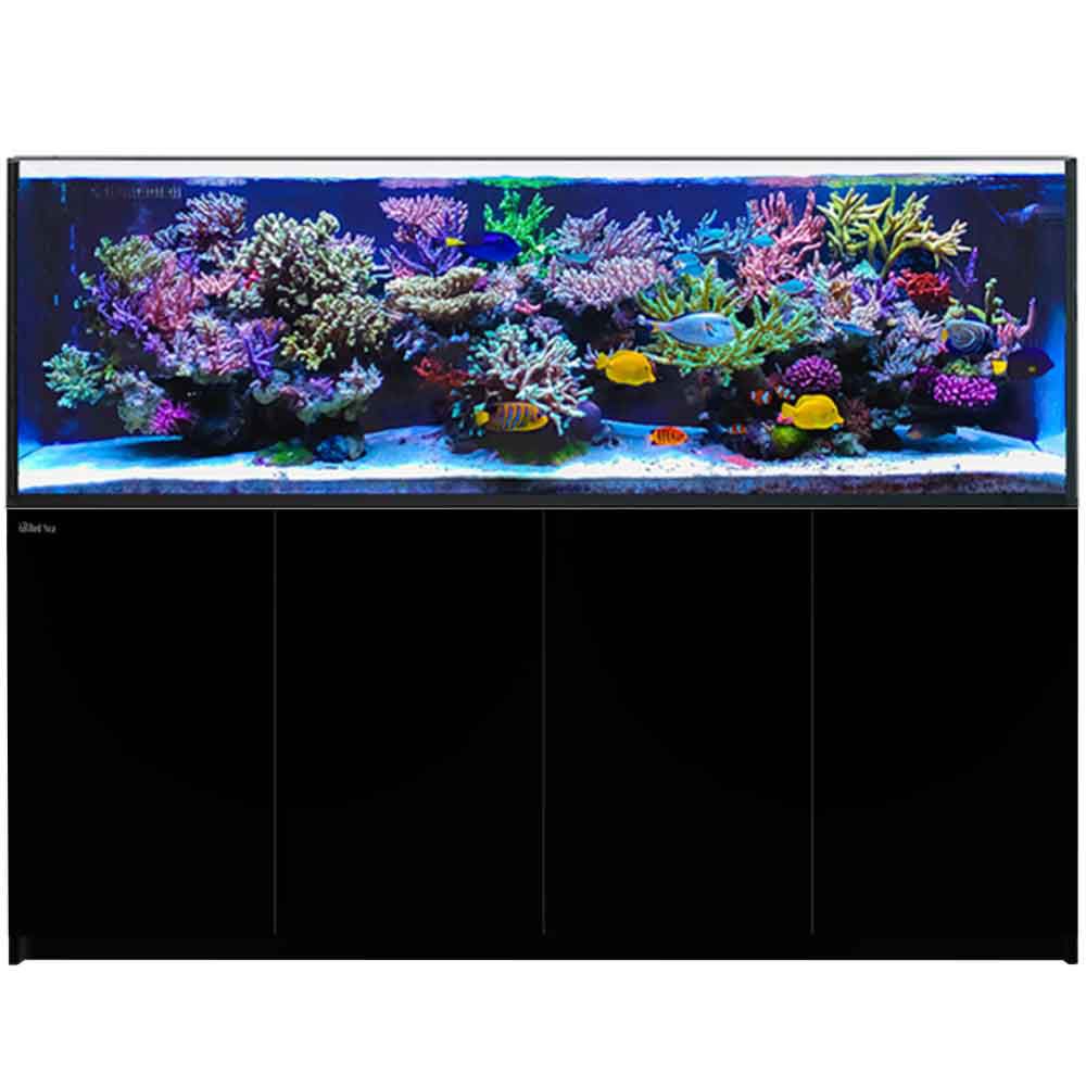 Red Sea REEFER™ Peninsula S-950 G2+ Nero Acquario marino 720lt 200cm