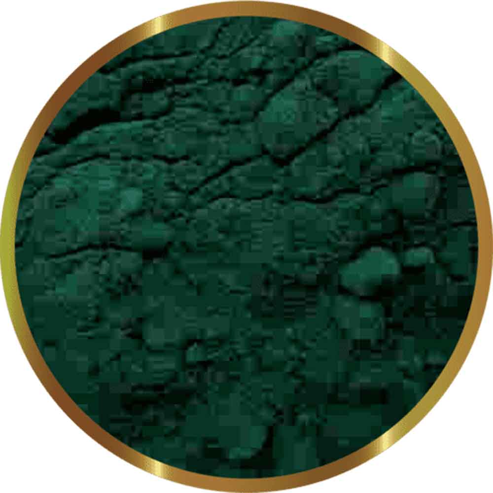 Shg Spirulina in Polvere Extrafine 25gr
