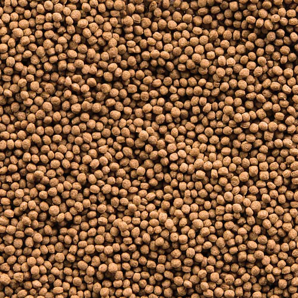 Sera Goldfish Granules Nature 100ml 30g