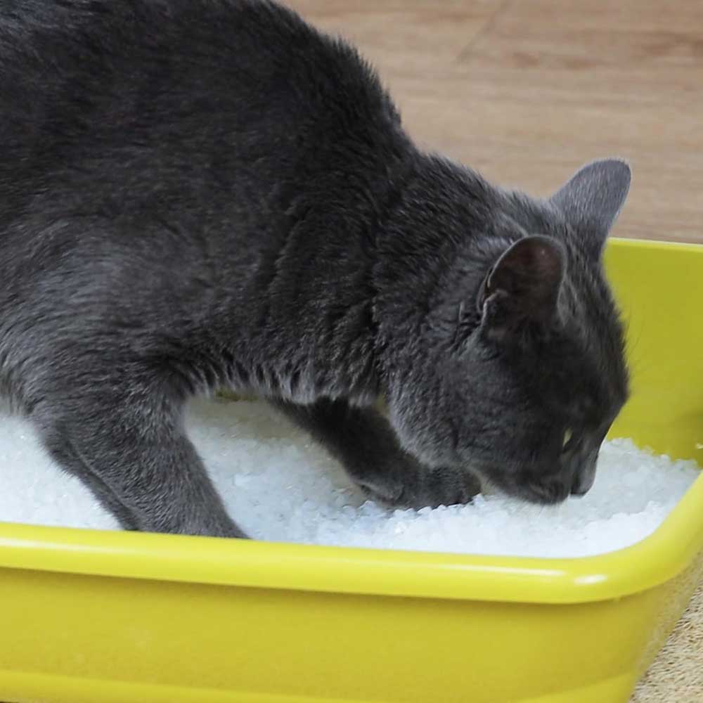 Croci Easy Clean Lettiera Igenica per Gatti 3,6Lt