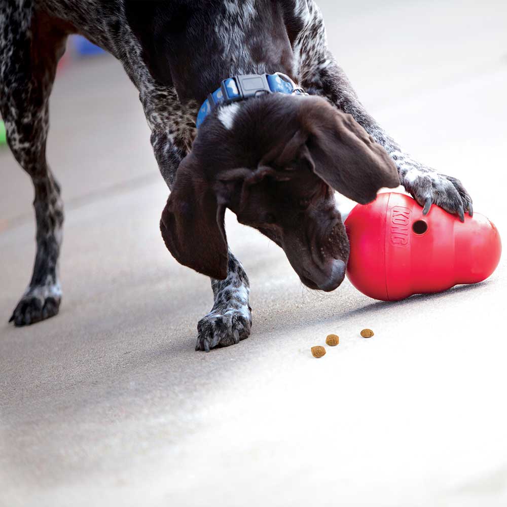 Kong Wobbler Gioco per Cani sopra a 12Kg