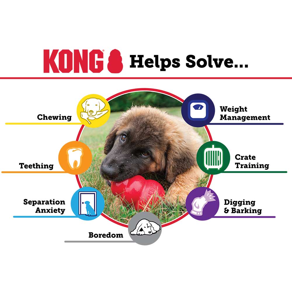 Kong Puppy Medium Gioco per Cani Rosa 7-16Kg