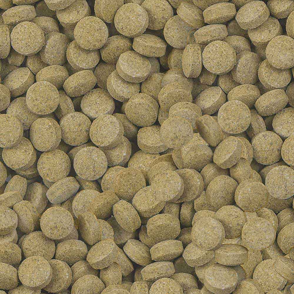 Sera Viformo Pleco Tabs 50ml 33gr