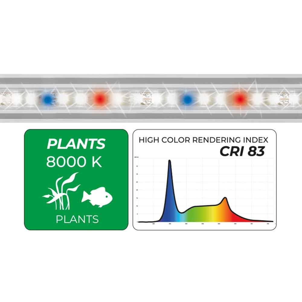 Newa Led Slim Plant 528 Lampada estensibile per acquari da 546-615mm 8000K° 7.2W
