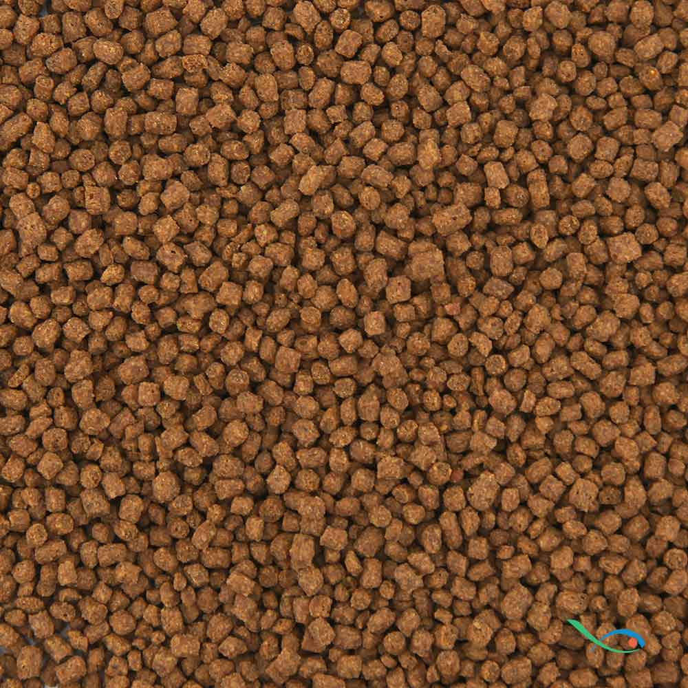 Planctontech Marine Fast L Granulare per pesci marini 100ml 45gr