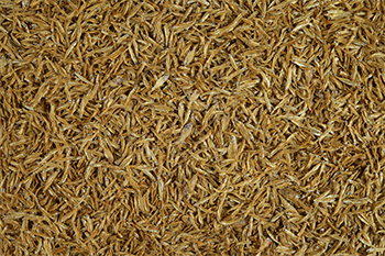 Tetra Anchovies Acciughe per Tartarughe d'acqua 1000ml 150gr