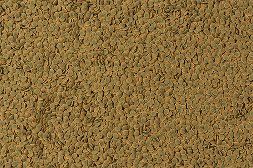 Tetra Pleco Veggie Wafers 250ml 110gr