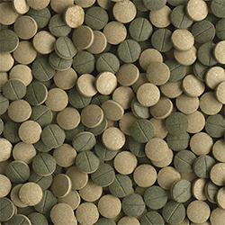Tetra Pleco XL Tablets Compresse per grandi pesci erbivori 250ml 135gr 133 Tabs