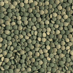 Tetra Pleco Tablets Compresse Premium per pesci erbivori da fondo 120 Tabs