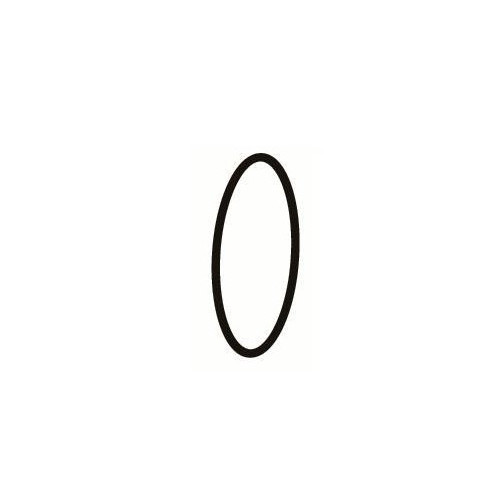 Aquabee Oring Coprigirante per Pompe UP2000 UP2000/1