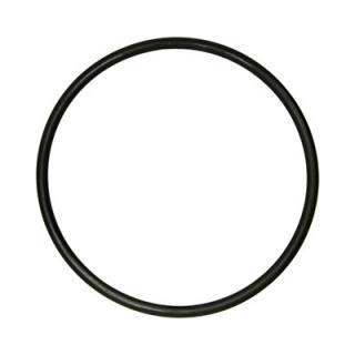 Eden Oring Guarnizione Testata Filtro esterno 511 e FES 100