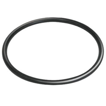 Newa Oring per Filtri appesi Millenium 1000/2000 e Power Gravel