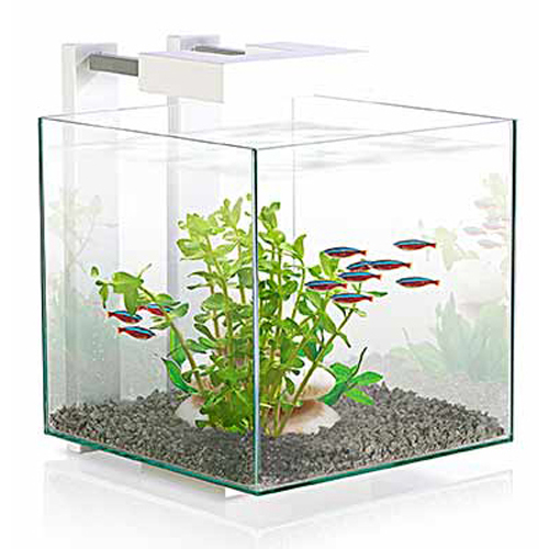 Ciano Aquarium Acquario Nexus Pure Cube Led 14Lt