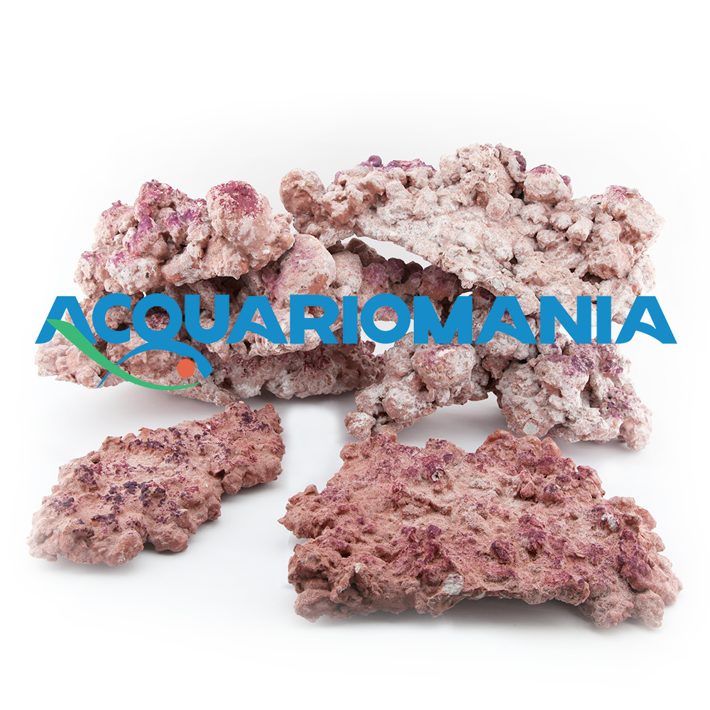 Aquaforest Rock Base Rocce ceramiche leggere per marino Cartone da 18Kg