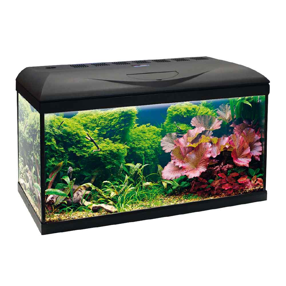 Amtra Basic 60 Acquario Led Nero 55lt 60x30x42h cm