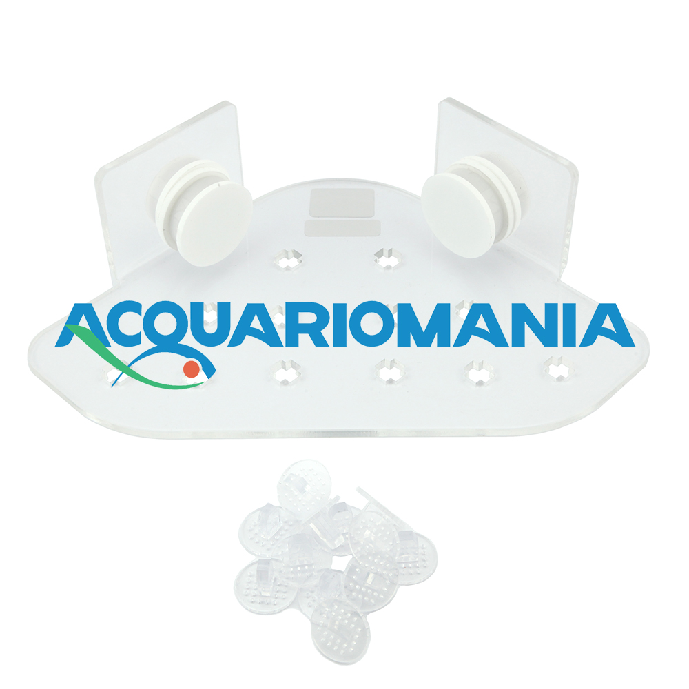 Skimz Porta Talee magnetico in acrilico con 12 basette