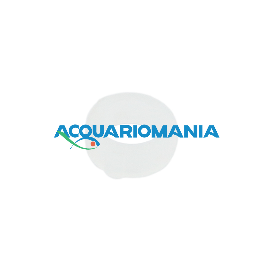 Oring Guarnizione per manometri impianti CO2