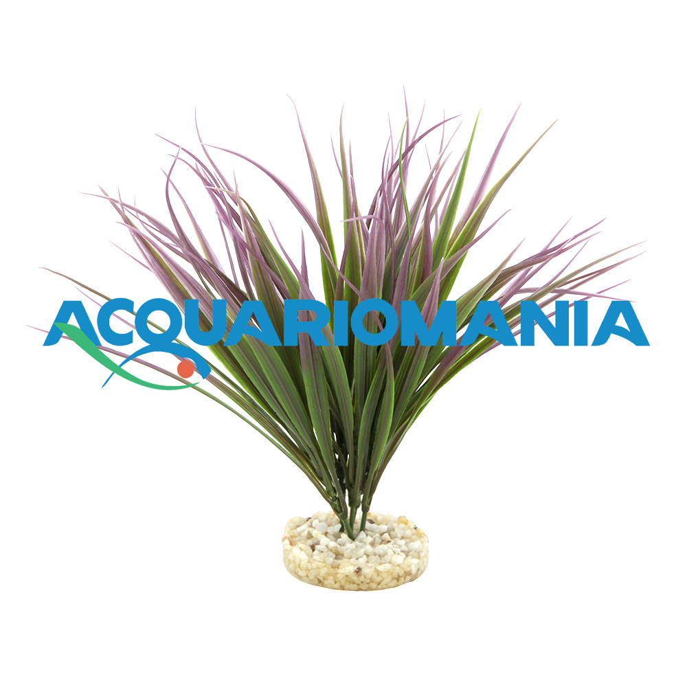 Sydeco Amazonia Pianta in plastica 12 cm