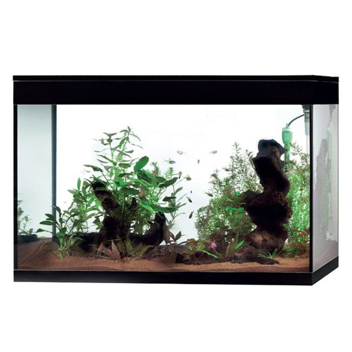 Askoll Acquario Pure LED XL HC High Cube Black 76x36x57h cm 130Lt