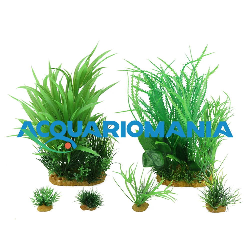 Zolux PlantKit Jalaya 1 Assortimento 6 piantine in plastica