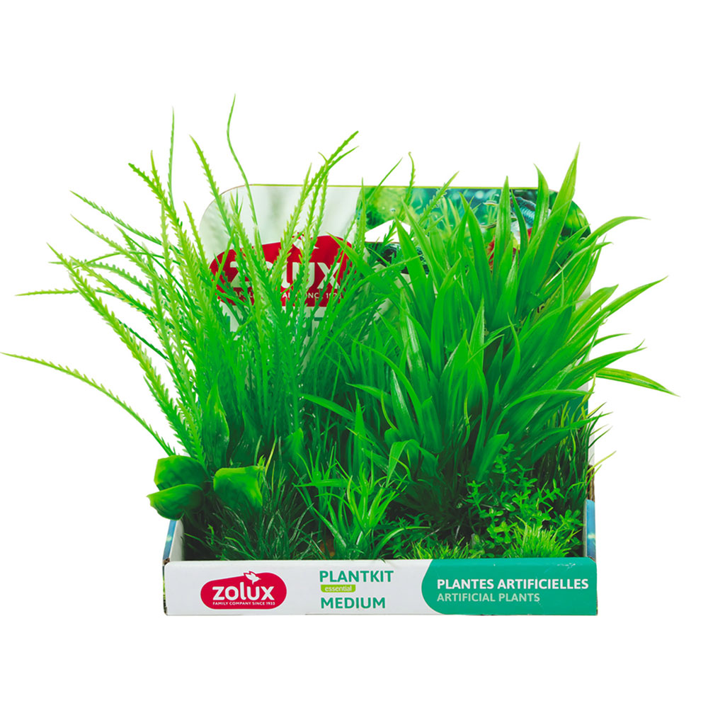Zolux PlantKit Medium 1 Assortimento 6 piantine in plastica
